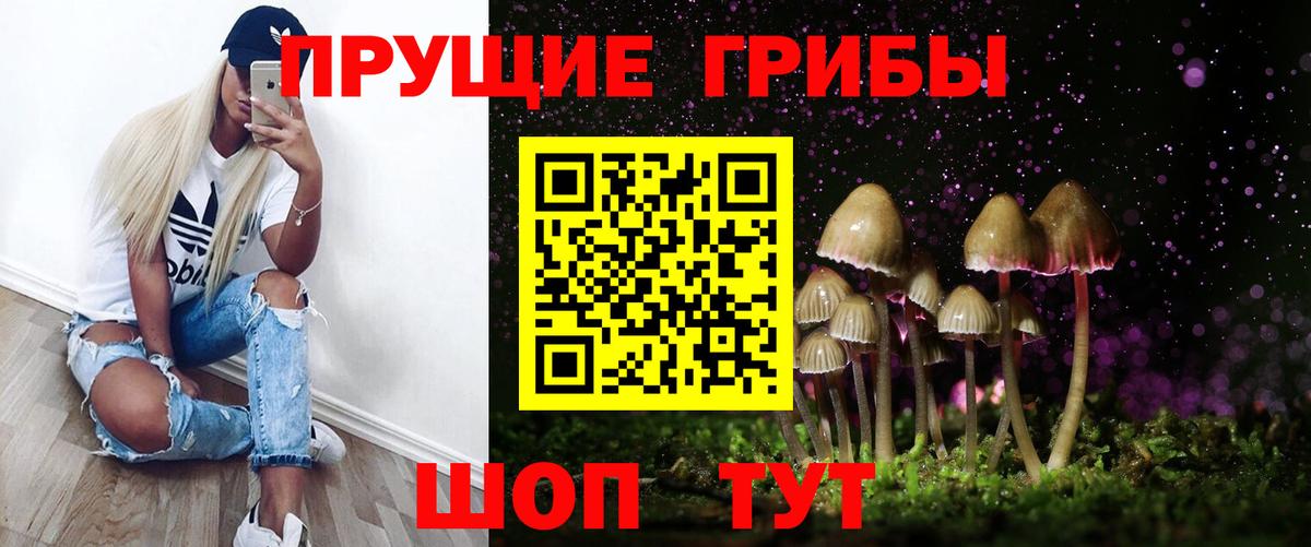 магазин    Вход с VPN  Лосино-Петровский  Галлюциногенные грибы Cubensis 